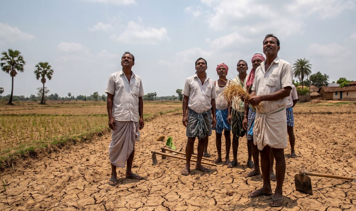 Deficient Monsoon Rainfall in Odisha Delays Agricultural Activities